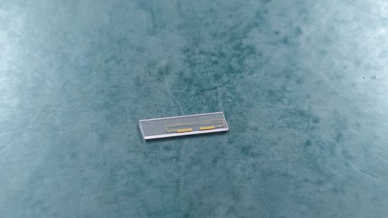 MIOC Modulator Intensity Chip, Modulator Fazy Chip