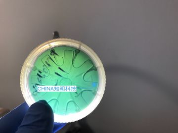 Dobra cena 2 cale 6H-N wafel krzemowy typu MPD 50 cm 330um wafle krystaliczny SiC w Internecie